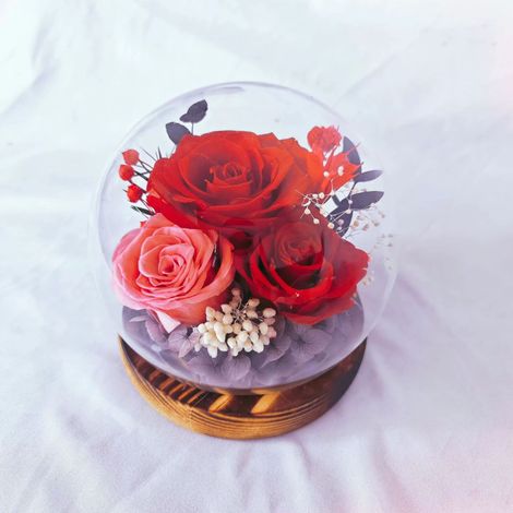 Flores preservadas bajo una cúpula de cristal: regalos para tu novia/esposa en el Día de Qixi, San Valentín, Navidad, graduación o cumpleaños.