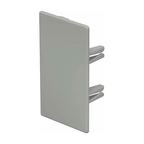 Accesorios de conexión obo-bettermann wdk/he 60110 plástico 60x110 mm