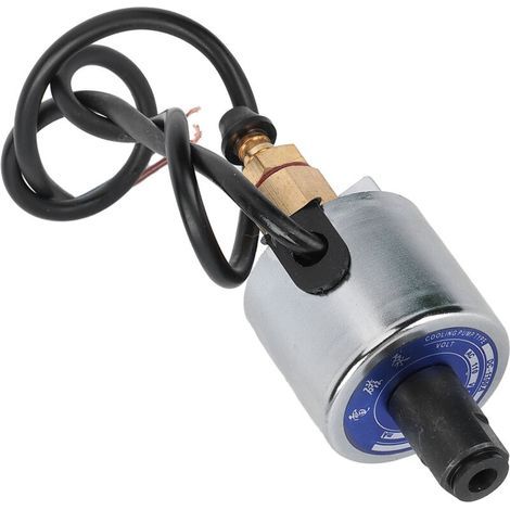 Pompe à huile électromagnétique pour rectifieuse, lubrification nickel-chrome, 380 cm³/min, 13 W, 110 V CA (1/5)
