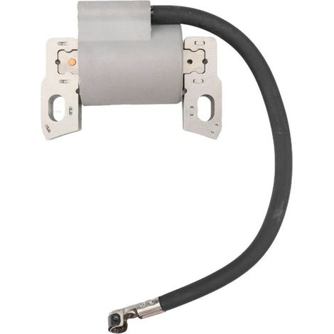 Bobina de encendido de alto voltaje compatible con 595291 796500 111P02 112P02 (1/3)