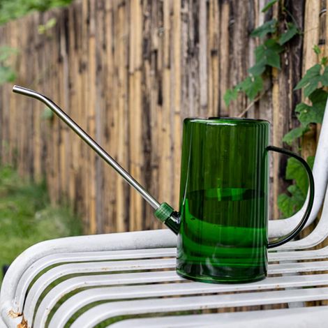 Arrosoir PP Transparent pour Plantes d'intérieur, Pot d'arrosage avec Long Bec, Poignée Ergonomique pour la Maison et Le Jardin, 1l (Émeraudes) (1/5)