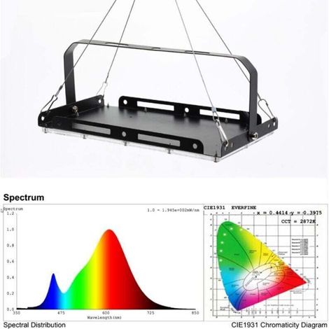 Lampe de Culture LED 100W Spectre Complet - pour Plantes d'Intérieur, Hydroponie, Légumes et Fleurs (1/5)