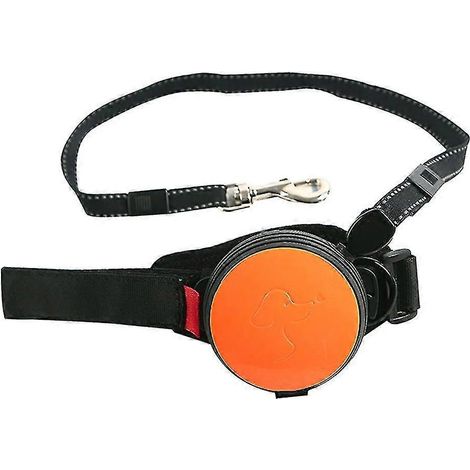 Filiyano-Laisse rétractable mains libres pour chien avec dragonne, orange