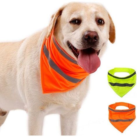 Filiyano-Lot de 2 bandanas réfléchissants pour chien, avec fermeture velcro, jaune et orange, taille M. (1/5)