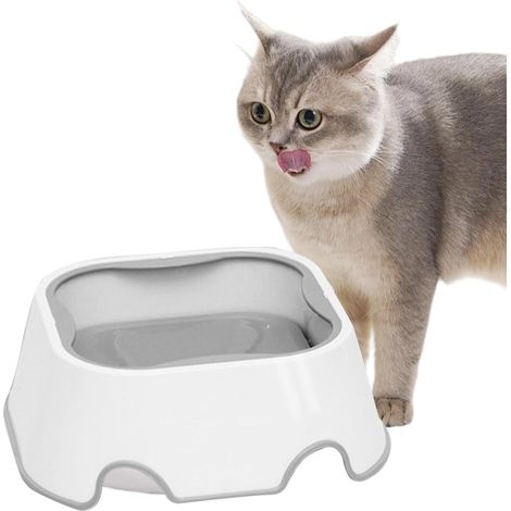 Gamelle à eau flottante pour chat - Abreuvoir et bol d'alimentation anti - (1/5)