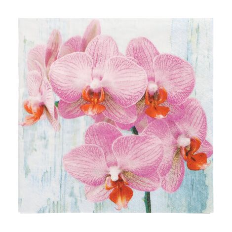 servilletas desechables papstar phalaenopsis 33 x 33 cm 20 unidades