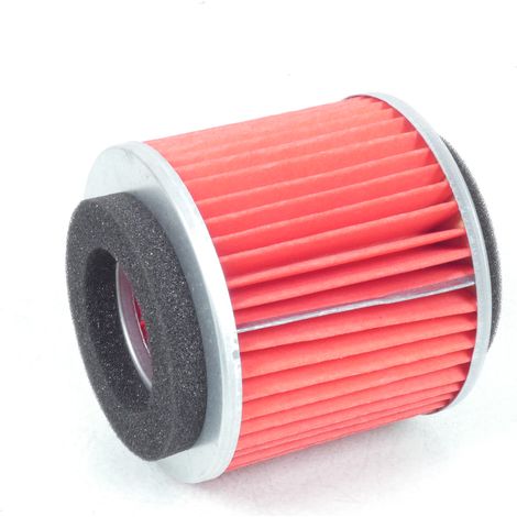 Filtre à air P2R pour Scooter Yamaha 125 Teos 2000 à 2020 Neuf (1/4)