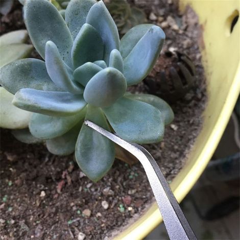 2-in-1 Bonsai-Wurzelrechen, Gartenpinzette aus Edelstahl, Gartenwerkzeug (1/5)