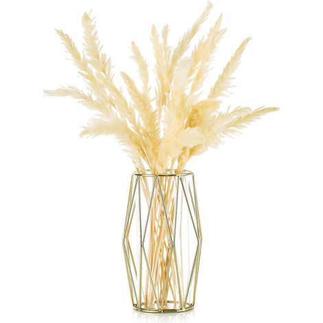 Vase en herbe de la pampa dorée pour fleurs, vase décoratif géométrique moderne en métal avec cylindre en verre transparent, centre de table floral, porte-bougie colonne pour salon, maison, mariages. (1/5)