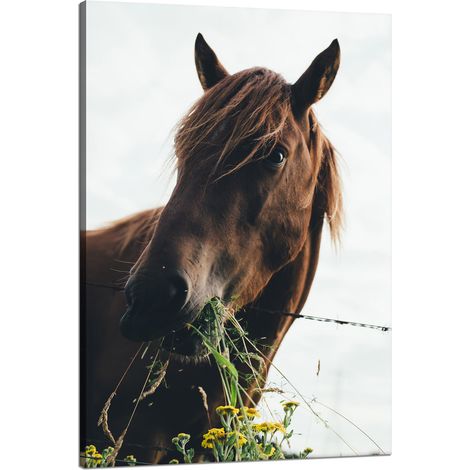 Lienzo impreso con la imagen de una cabeza de caballo (80x120 cm) y un establo.