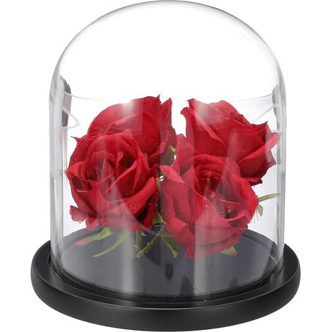 Cloche en Verre De Présentation, 6.6" x 5.9" avec Base en Bois pour Table, Boîte Décorative pour Plantes, Décoration D'intérieur, Bureau, Mariage, Fête, Noir (1/5)