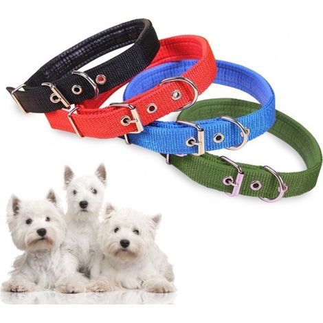 Collier En Nylon Avec Rembourrage Pour Petits Chiens.fermeture à Boucle Réglable (1/5)