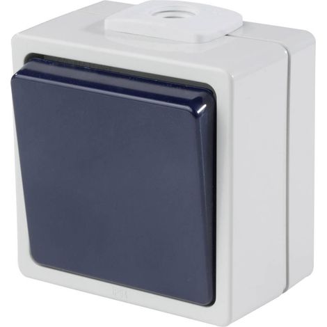 AS Schwabe 62450 Interruttore a muro grigio IP54