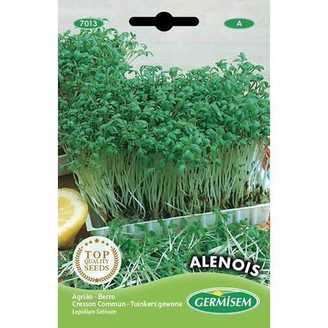 graines Cresson Commun ALENOIS (1/2)