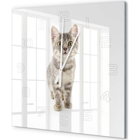 Grande Horloge Murale Carrée Sans Cadre en Verre Trempé Silencieuse et Moderne Chat gris 60x60 cm (1/5)