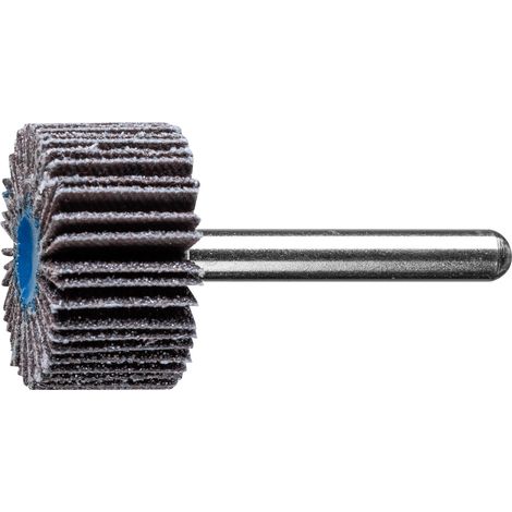 PFERD TOOLS SIC Fächerschleifer F Ø 30x15 mm Schaft-Ø 6 mm SIC60 für harte NE Metalle 10 Stk