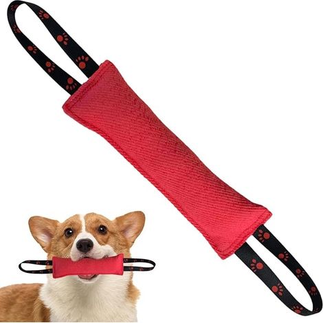 Saucisse à Mordre pour Chien, 30 cm, Jouet Robuste, dragonne, entraînement, tir à la Corde, Orange (1/5)