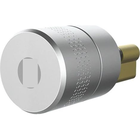 Serrure de porte intelligente Serrure De Porte Intellinte, Moteur Plus Puissant, TUYA, Serrure Intellinte À Empreintes Digitales, Serrure Électronique, Cylindre D'origine ( Color : M501 Lock silver , (1/5)