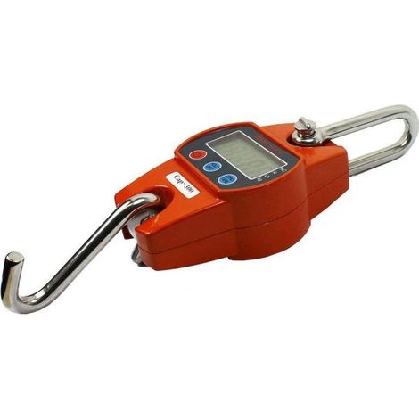 BILANCIA 300 KG  DINAMOMETRO DIGITALE SOSPESA A MOLLA APPESA INDUSTRIALE (1/5)