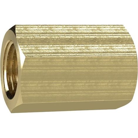 Dado In Ottone G1 / 8 Lunghezza 22 Millimetri Sw14Mm Riegler