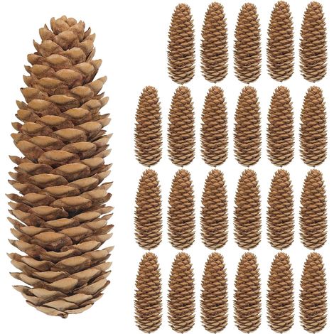 Pommes de Pin Naturelles, Lot de 50 Grandes Pièces, 9,5 à 13 cm, Cônes d'Épicéa et de Pin pour Couronne de l'Avent, Décoration de Sapin et de Table (1/5)