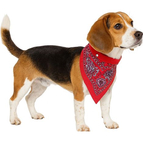 Nobby Halsband mit Tuch Hundebekleidung