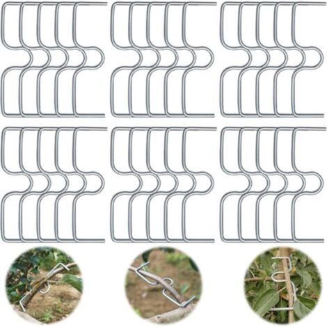 Lot de 30 écarteurs de branches d'arbre fruitier. support pour branches de fruits. pinces à branches en métal pour branches de jardin. pour écarter et étirer les branches d'arbres fruitiers (1/5)