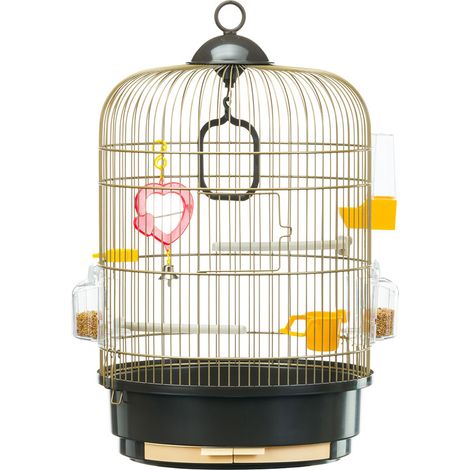 Cage à oiseaux REGINA – Habitat idéal pour canaris et perruches – Barres espacées de 9,8 mm – 2 plateaux amovibles pour nettoyage facile – Design italien – Ferplast