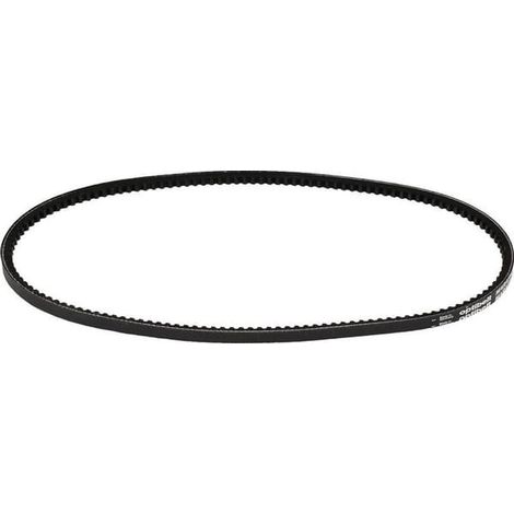 Courroie OPTIBELT AVX10900 (1/5)