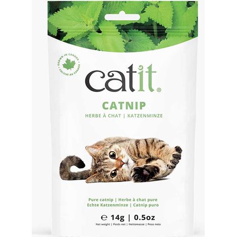 Catnip seco para gatos Catit