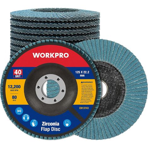 Pack of 10 Sanding Discs with Flap 125 mm, Grit 40 (1/5)