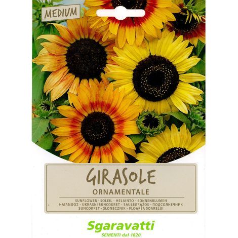 SEMI PER PRATO UNIVERSALE girasole ornamentale
