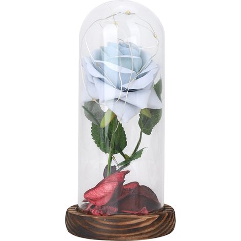 Lampe De Bureau Rose Avec Guirlande Lumineuse Et Dôme En Verre Pour Décoration Romantique - Bleu Clair - 1 Pièce (1/5)