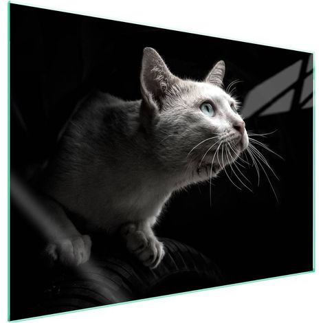 Plaque de protection en verre pour poêle 70x52 Cat (1/5)