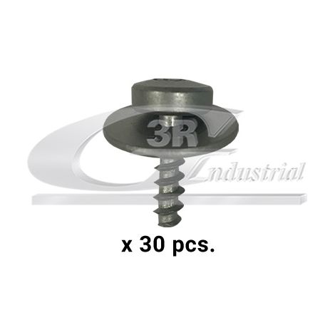 3RG 86139 TORNILLO CARROCERIA (PACK 30 PCS)