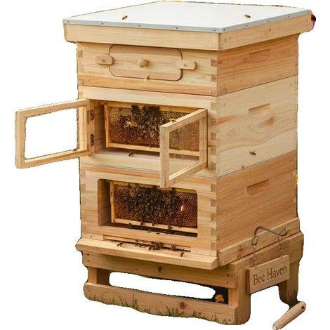 Colmena, 30 cuadros, madera de abeto con revestimiento de cera de abeja, verde militar. (1/2)