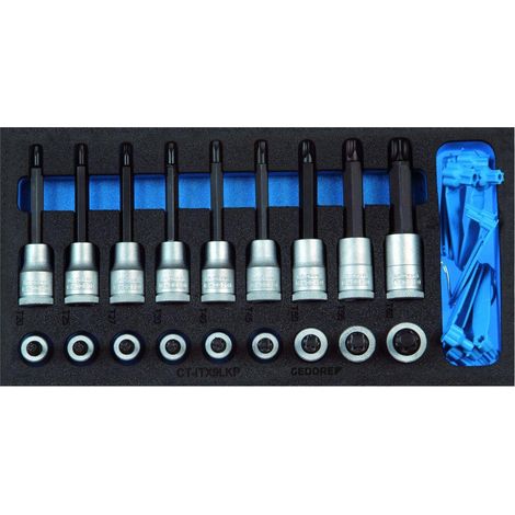 1500 CT1-ITX 19 LKP Set di inserti per cacciavite 1/2" in modulo Check-Tool (1/4)