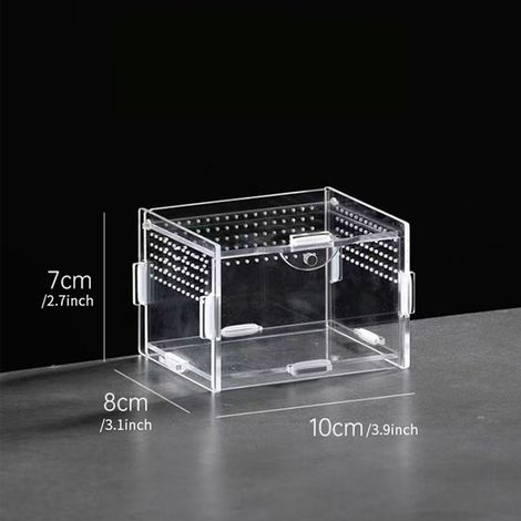 Reptilienaquarium, Reptiliengehege, transparenter Acryl-Futternapf, Glas-Reptilienterrarium, kleiner Futternapf 10 x 8 x 7 cm (1/4)
