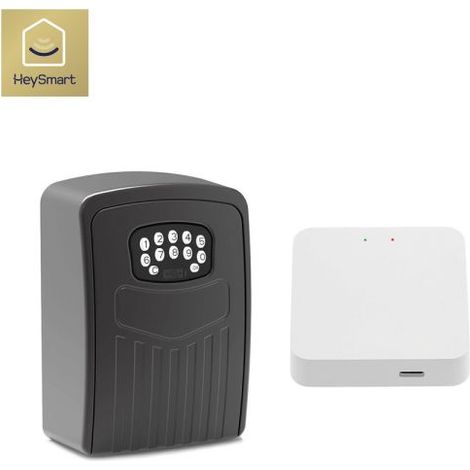 ISNATCH Cassetta di sicurezza Smart + batterie + Gateway WI-FI controllo remoto B&B - 68.6810.20