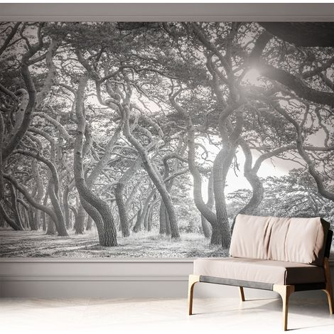 Fotomurale adesivo stickers - per camera da letto - per corridoio - decorazione casa moderna Foresta suggestiva 312x219 cm (1/5)