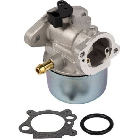 Carburateur 799868 avec joint et joint torique de Compatible with carburateur Briggs & Stratton 498170 498254 497347 497314 (1/5)