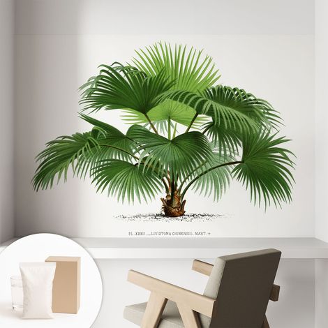 Papier peint décoratif avec colle pour salon, chambre à coucher et bureau – Design moderne et facile à poser Palmier exotique 104x70 cm (1/5)