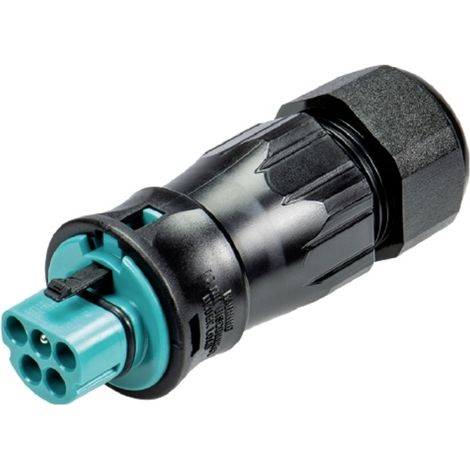 Wieland Electric 96.052.4553.6 Steckverbinder