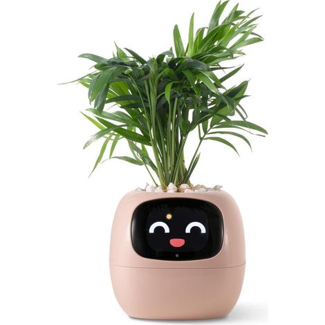 Intelligenter Blumentopf mit Bewässerungssystem und Display, Pink (1/5)