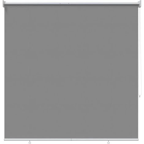 Store enrouleur avec protection UV, gris clair, 120 x 140 cm, fibre de polyester. (1/5)