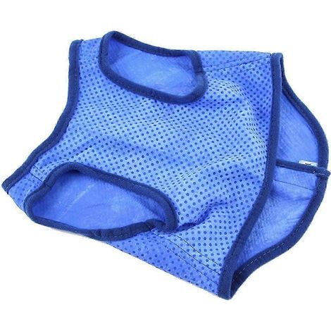 Kühlweste für Hunde, leichtes, bequemes und tragbares Sommer-Eis-Haustiergeschirr, ärmellose Weste für Hunde, ideal für Outdoor-Sport und Strand-XL (1/5)