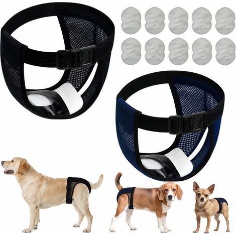 Culottes absorbantes pour chiennes en chaleur - Lot de 2 - Taille M (tour de taille 35-43 cm) - Noir et bleu (1/5)