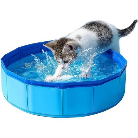 Katzenplanschbecken, faltbar, PVC, 30 x 10 cm, blau, für Katzen und Hunde, zum Baden und Spielen (1/5)