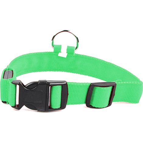Collier Led Chien - Changement De Couleur Arc-En-Ciel - Rechargeable Micro USB - Pour Marche Nocturne - Taille Réglable - 1 Pièce (1/5)