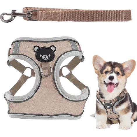 Filiyano-Harnais pour petit chien avec lumières Harnais pour chat avec laisse — Harnais-gilet et laisse réglables pour chien, parfaits pour les (1/5)